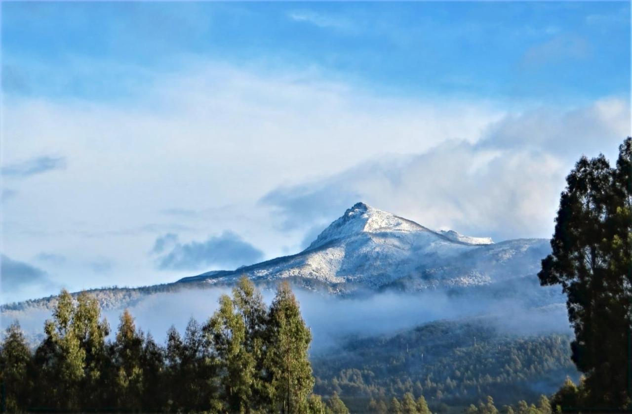 Maydena Mountain Cabins Luaran gambar