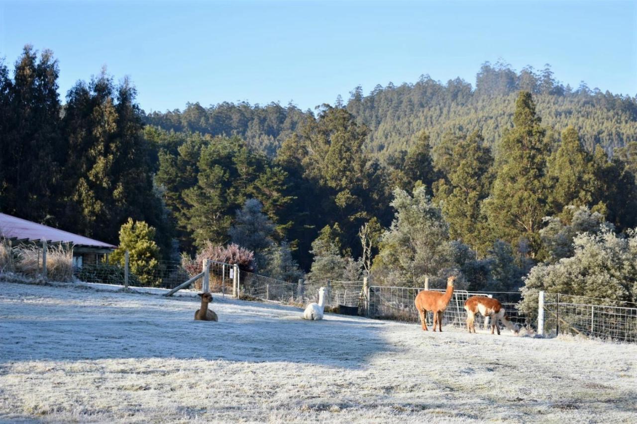 Maydena Mountain Cabins Luaran gambar