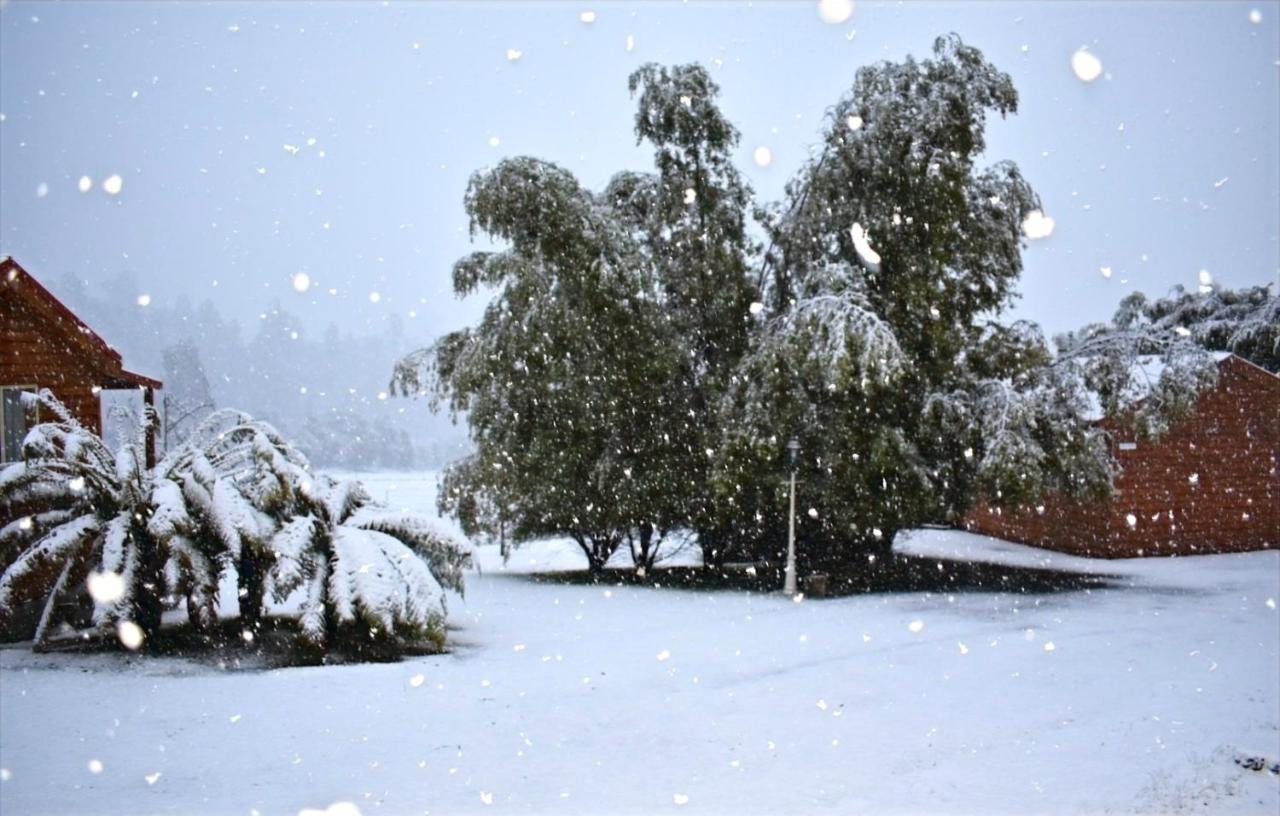Maydena Mountain Cabins Luaran gambar