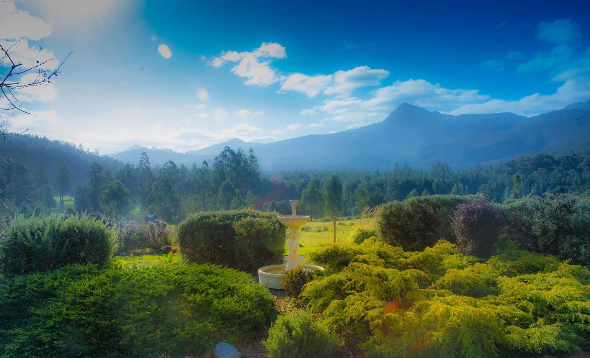 Maydena Mountain Cabins Luaran gambar
