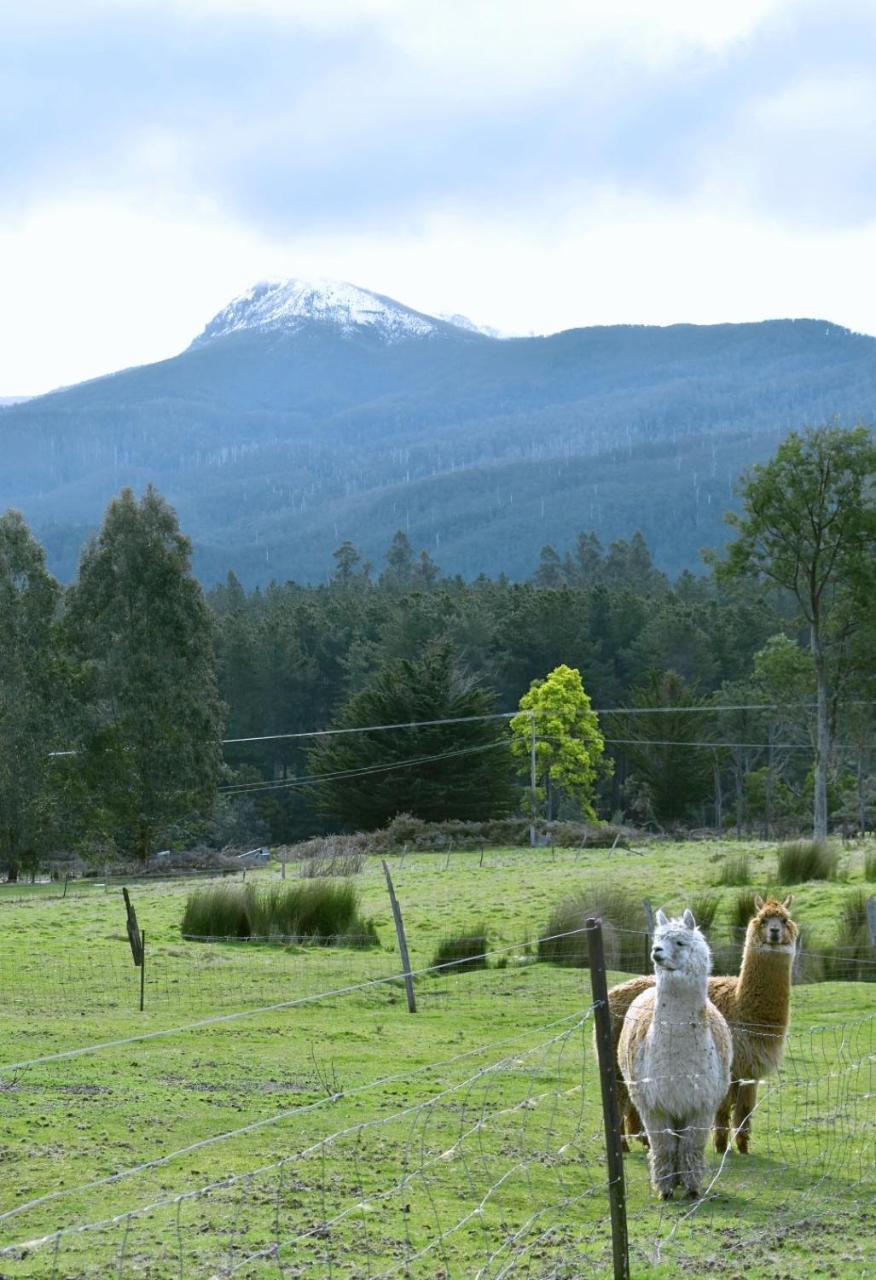 Maydena Mountain Cabins Luaran gambar