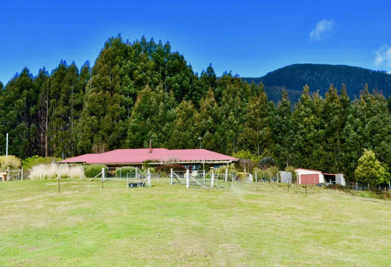 Maydena Mountain Cabins Luaran gambar